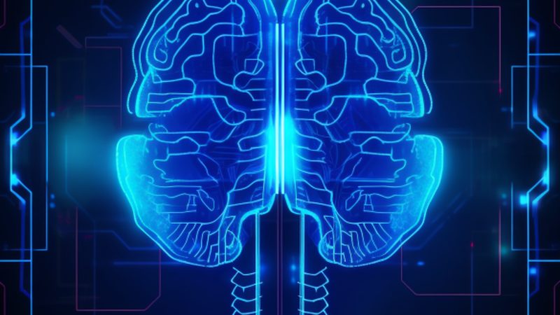 AI算法代理加盟，如何规避潜在风险？**